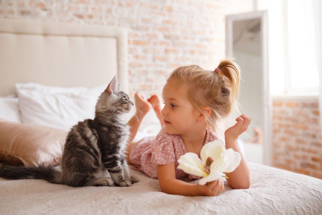 A young girl holding a flower and lying on the bed next to a kitten